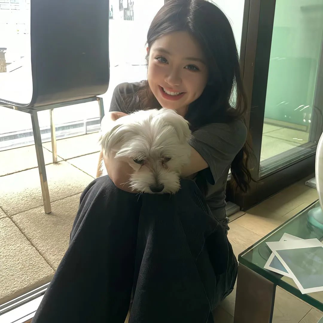 科搜研之女第24季