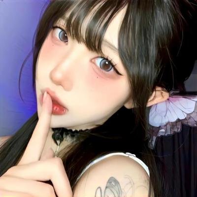 狮子护卫队第二季